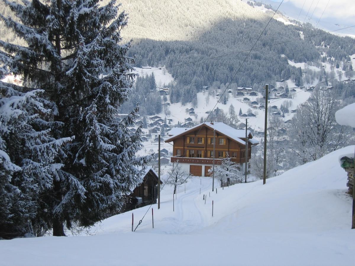 Chalet Studen グリンデルヴァルト エクステリア 写真