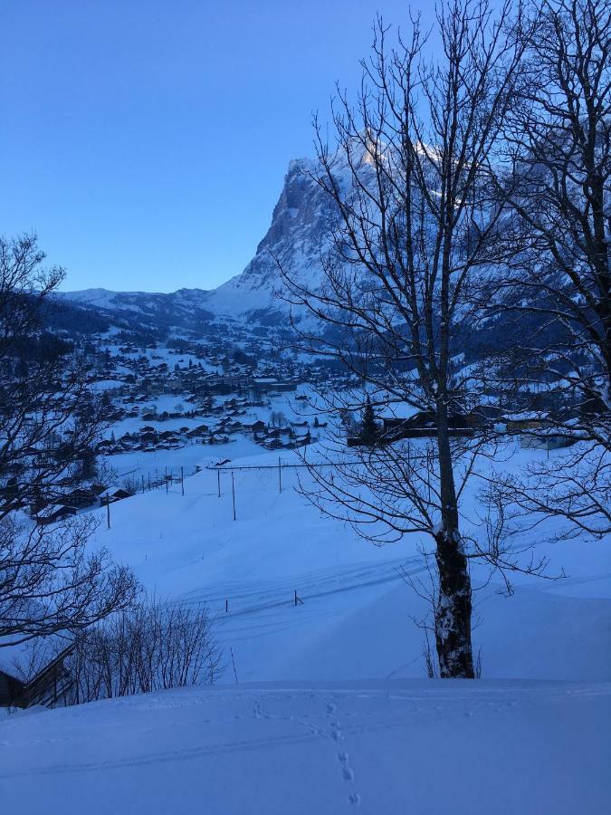 Chalet Studen グリンデルヴァルト エクステリア 写真